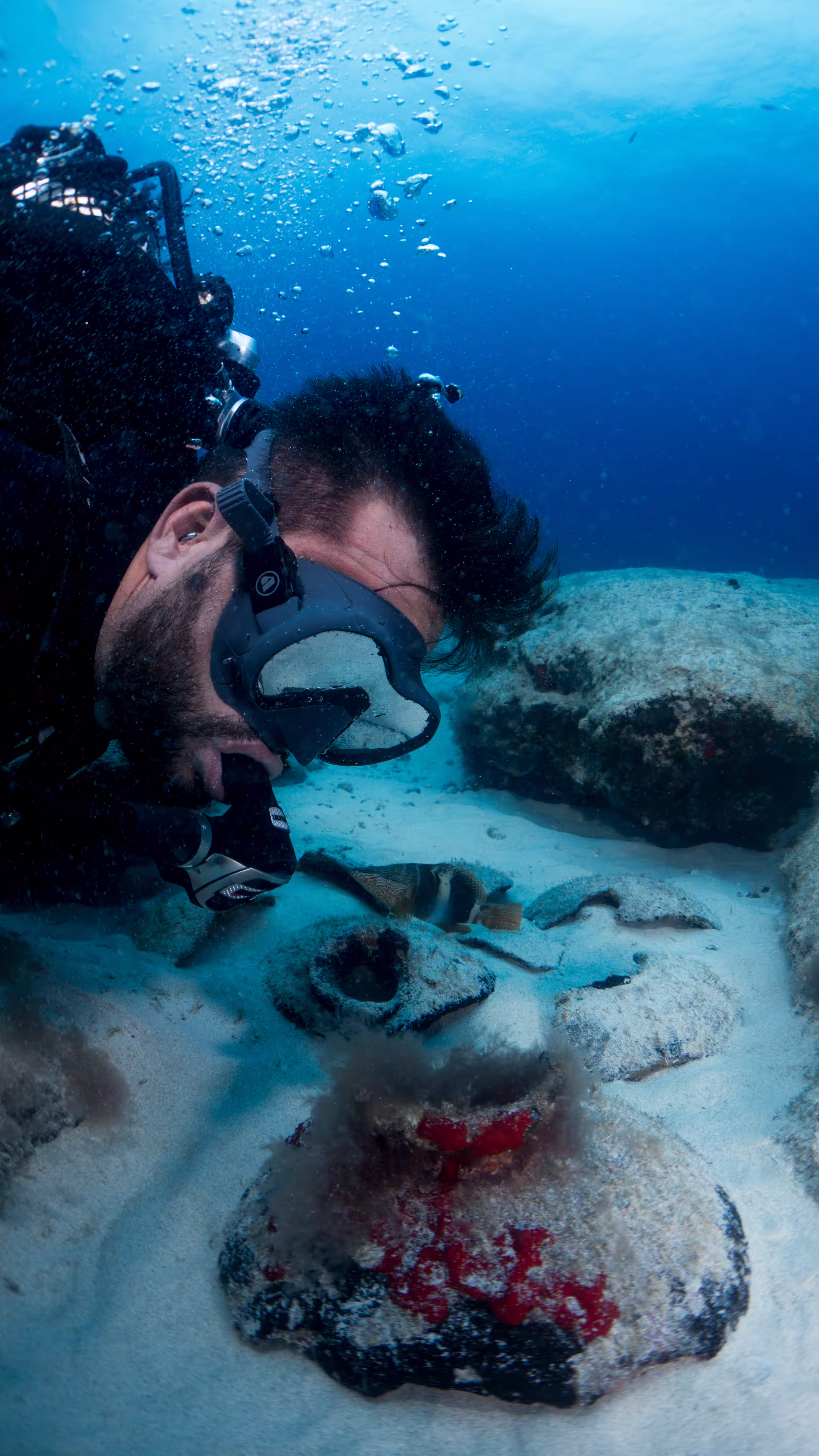 Buceo y vida marina en La Graciosa
