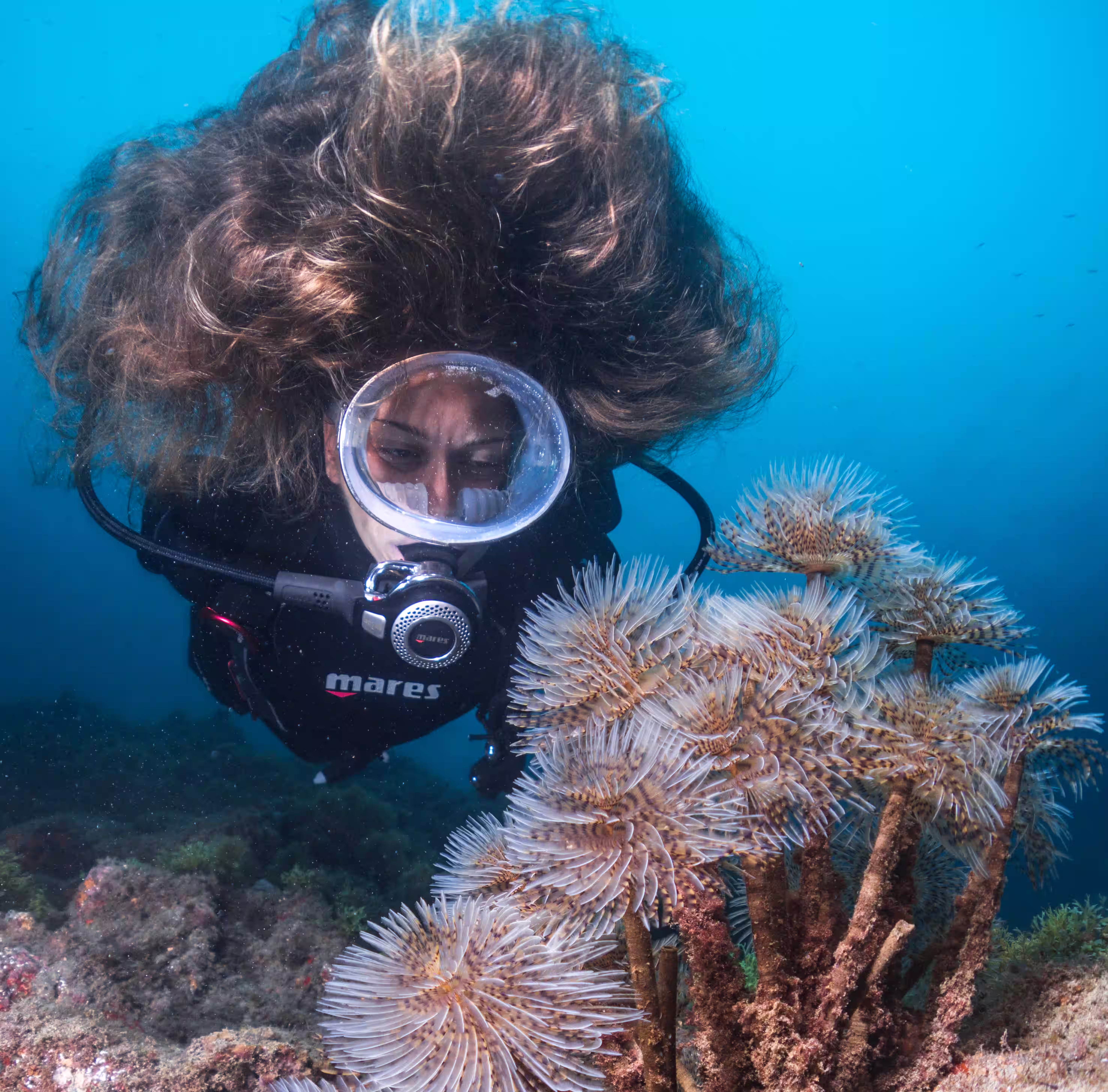 Buceo en La Graciosa: guía para buceadores certificados